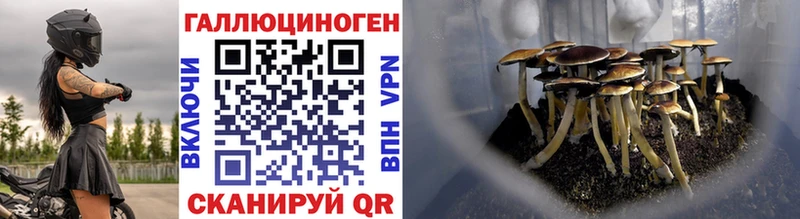 Псилоцибиновые грибы мицелий  Купить где  Олёкминск 